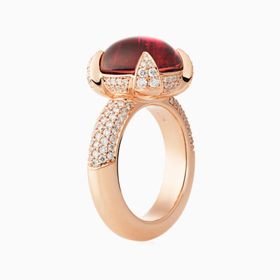 Catch ring Catch ring