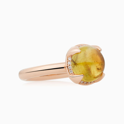 Catch ring Catch ring