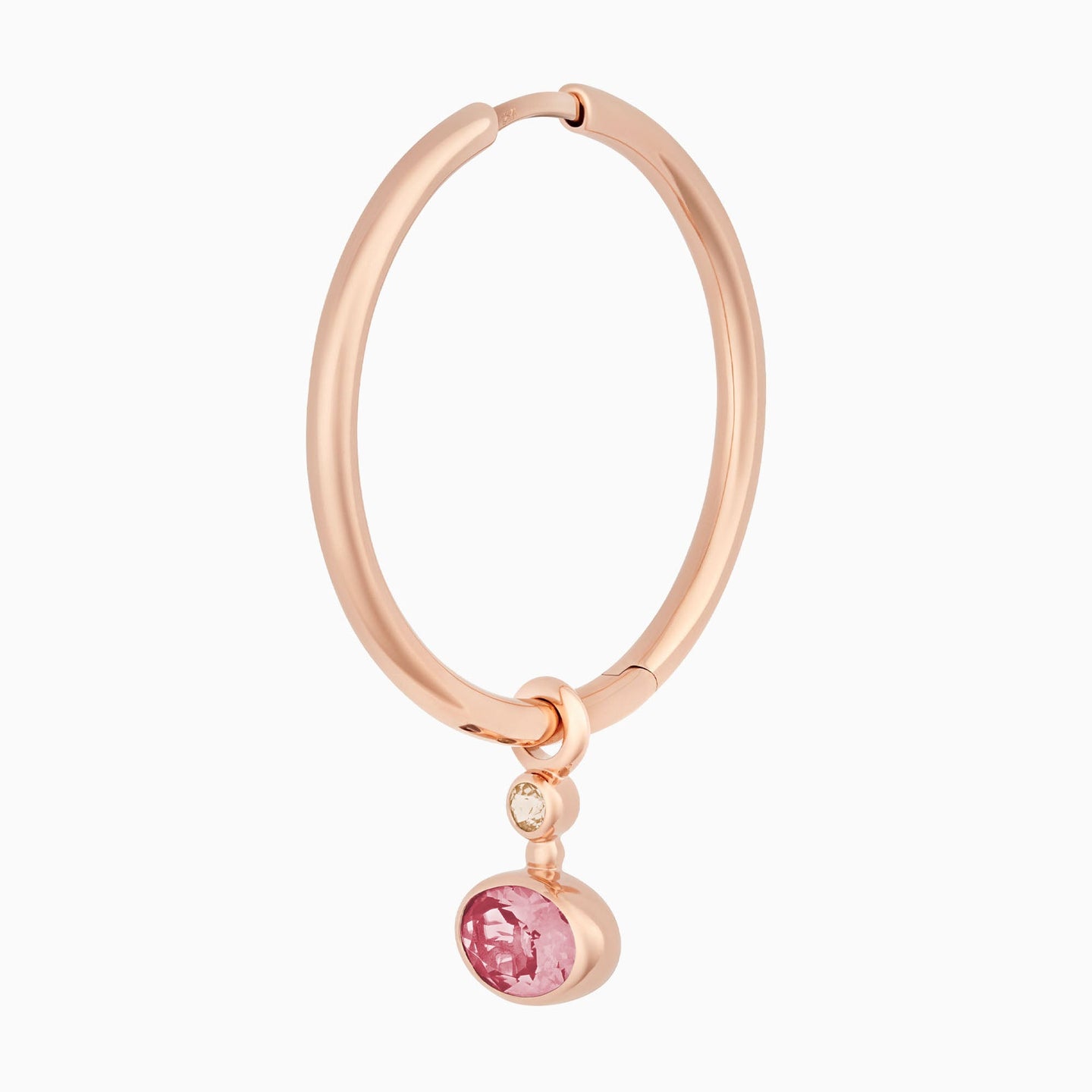 Sushi oorsieraad (enkel stuk) Sushi oorsieraad (enkel stuk)