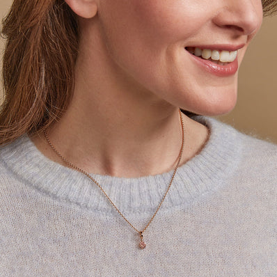 Stardust hanger & collier