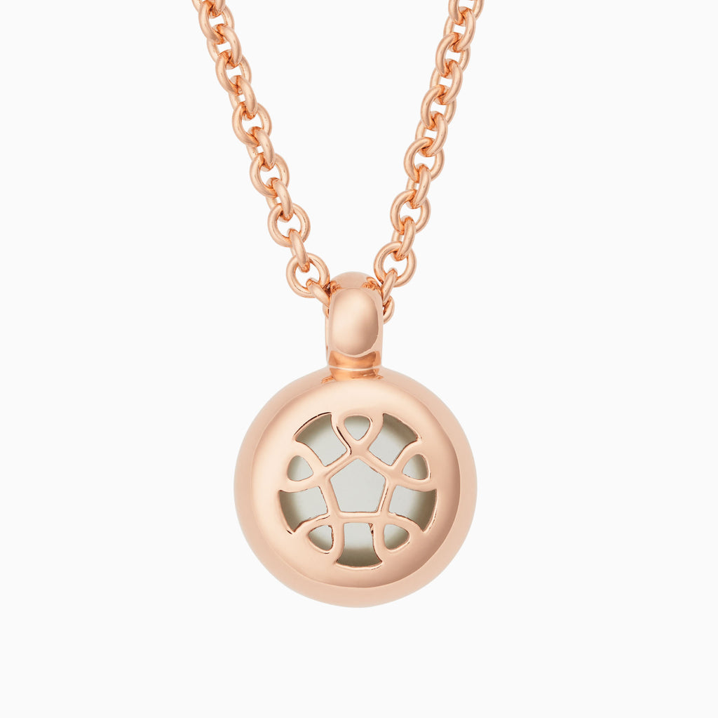 Sushi hanger & collier