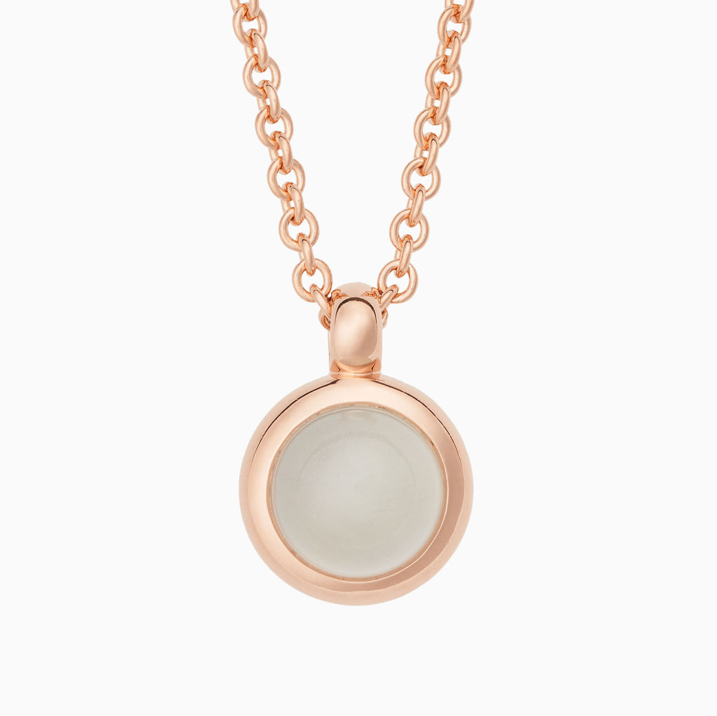 Sushi hanger & collier