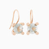 Phlox oorsieraden